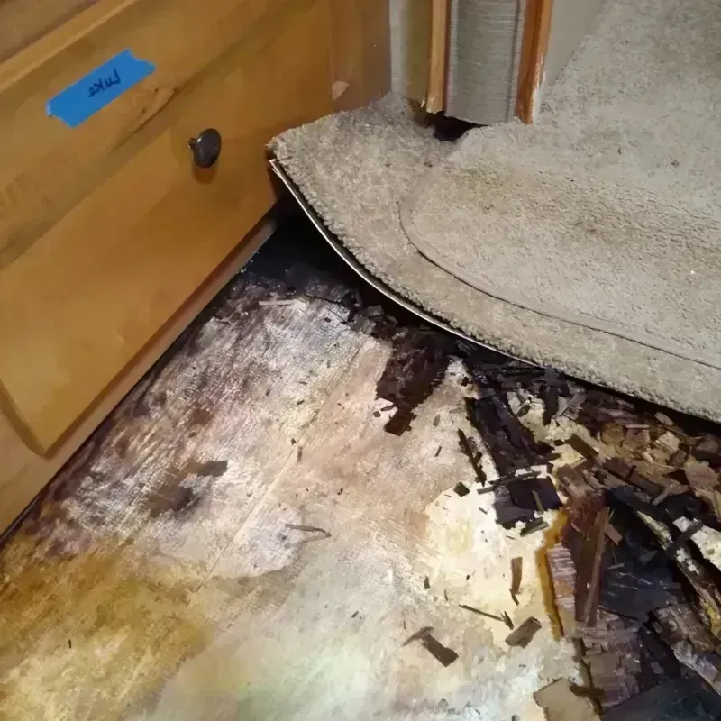 Wood Floor Water Damage in Belleville, PA